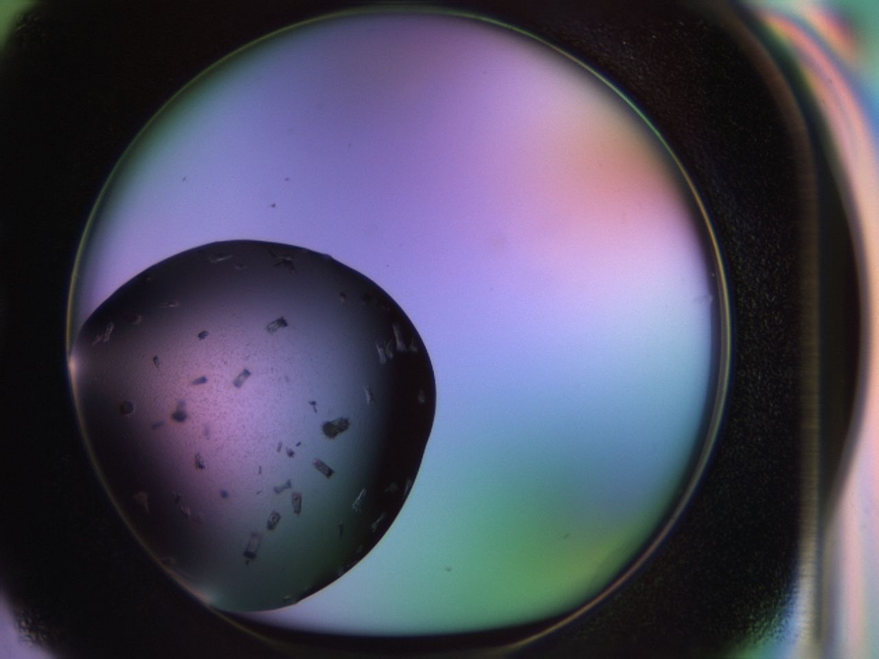02pl_G3_ImagerDefaults_9.jpg