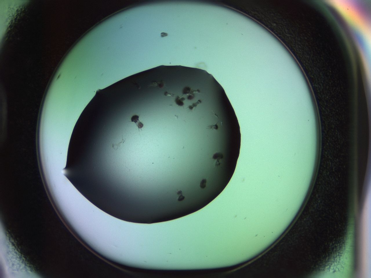 02pl_D8_ImagerDefaults_9.jpg