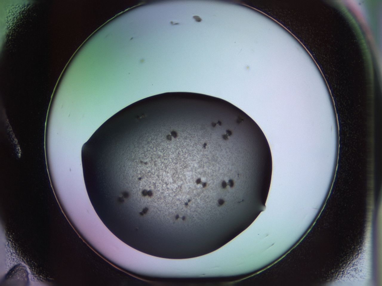 02pl_A11_ImagerDefaults_9.jpg