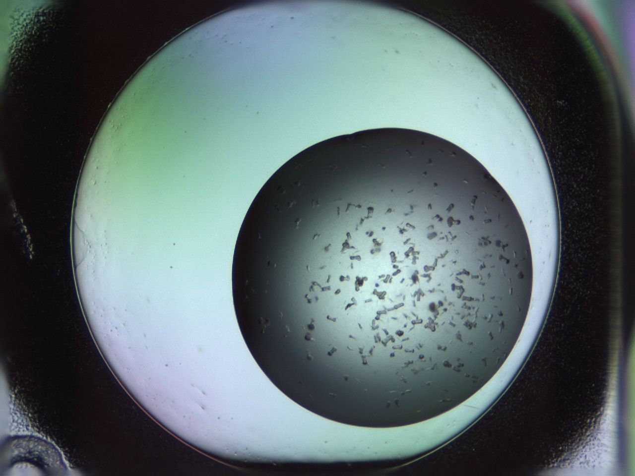 02pl_A10_ImagerDefaults_9.jpg