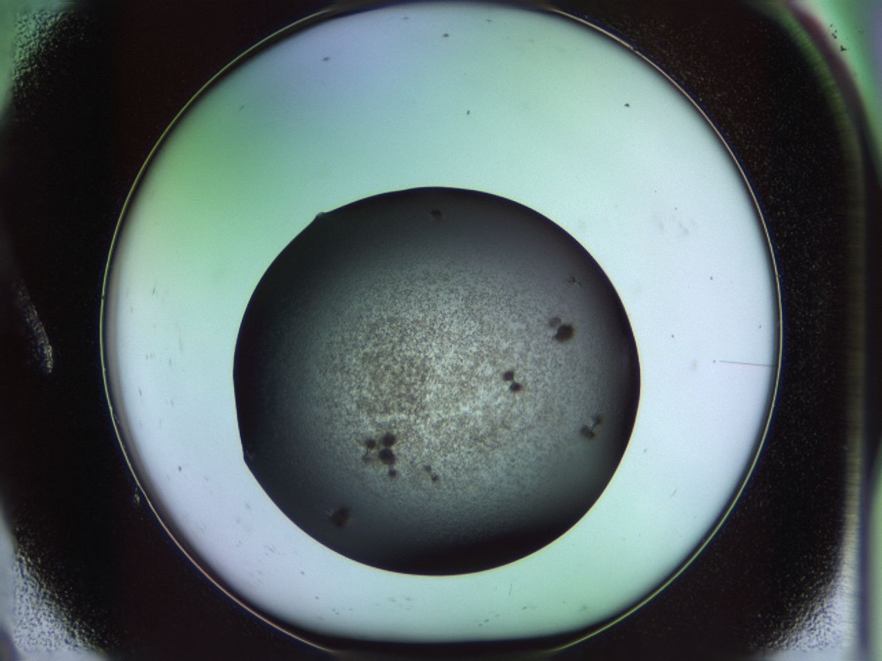 02pl_A9_ImagerDefaults_9.jpg