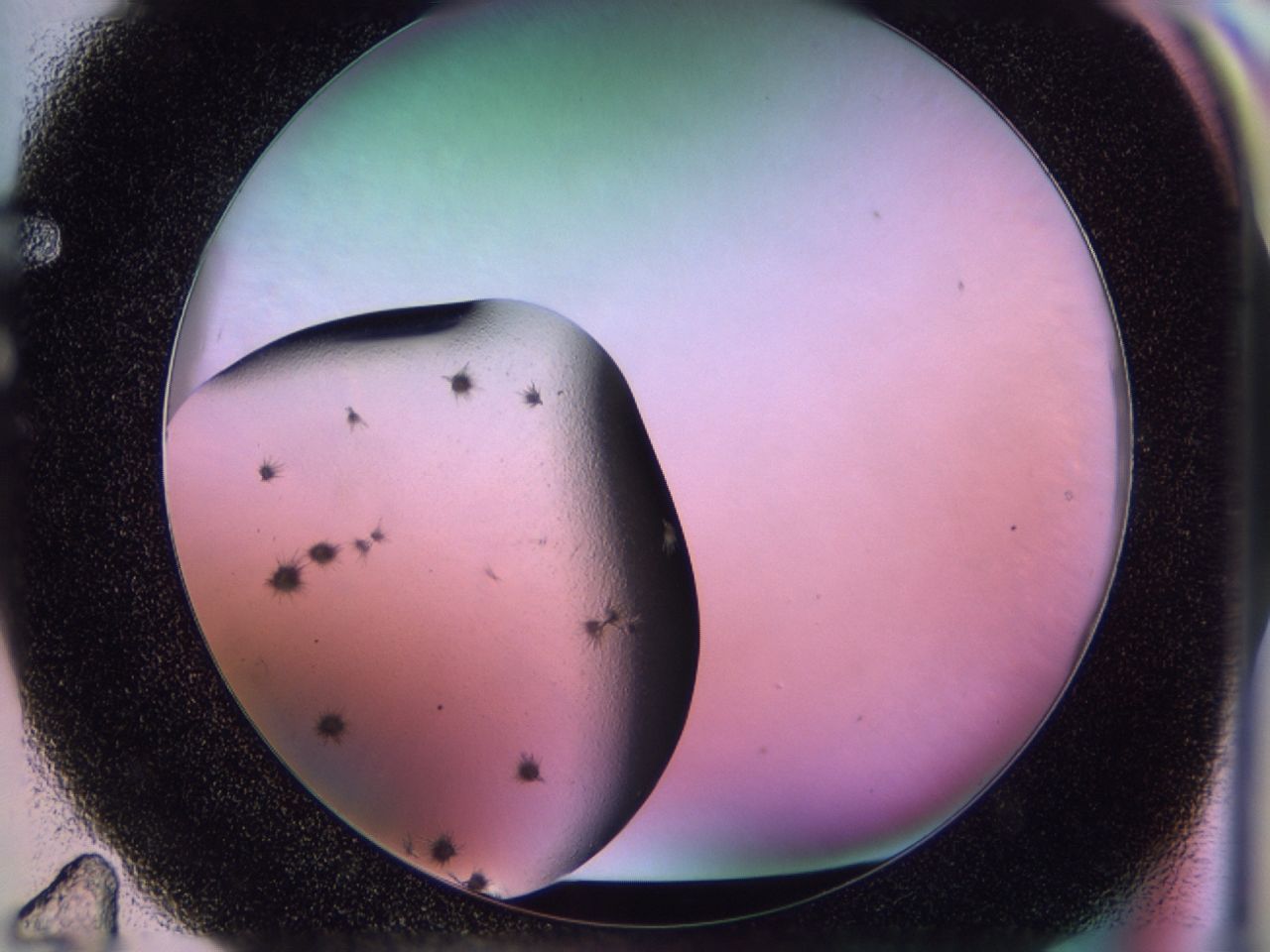 02pm_F11_ImagerDefaults_7.jpg