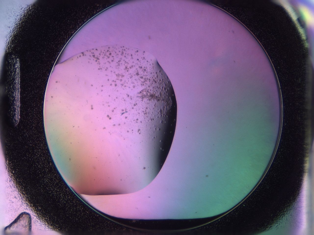 02pm_H11_ImagerDefaults_6.jpg