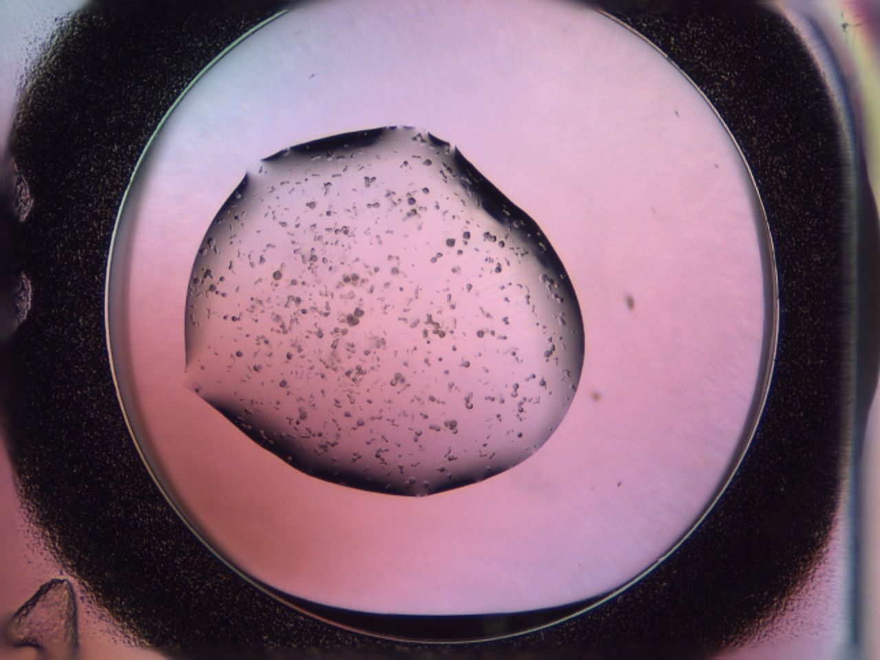02pm_C11_ImagerDefaults_6.jpg