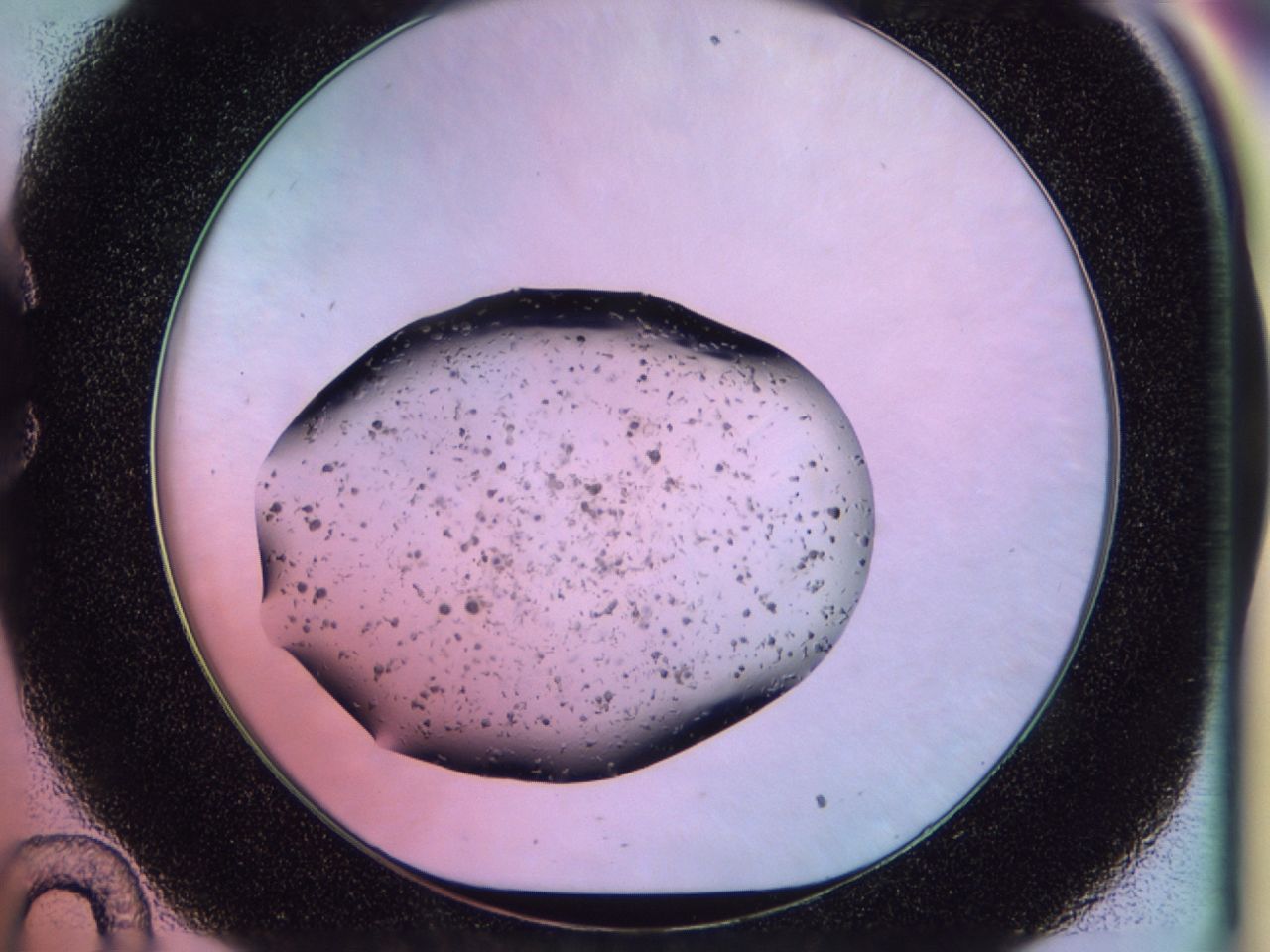 02pm_C10_ImagerDefaults_6.jpg