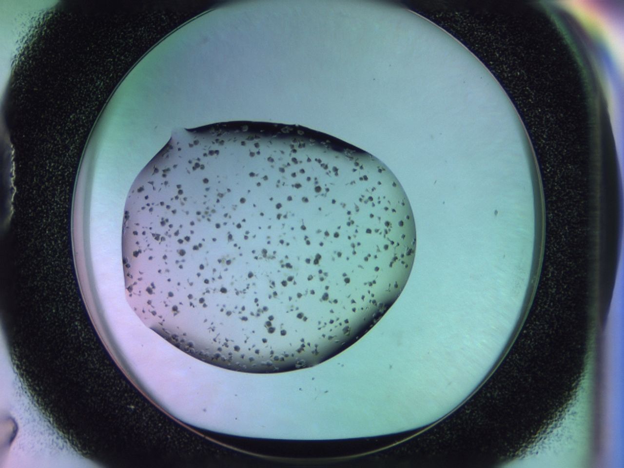 02pm_D7_ImagerDefaults_7.jpg