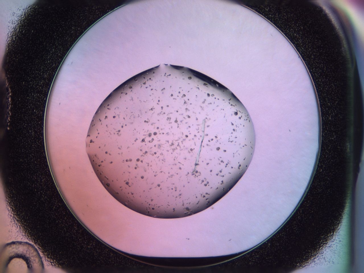 02pm_D10_ImagerDefaults_7.jpg