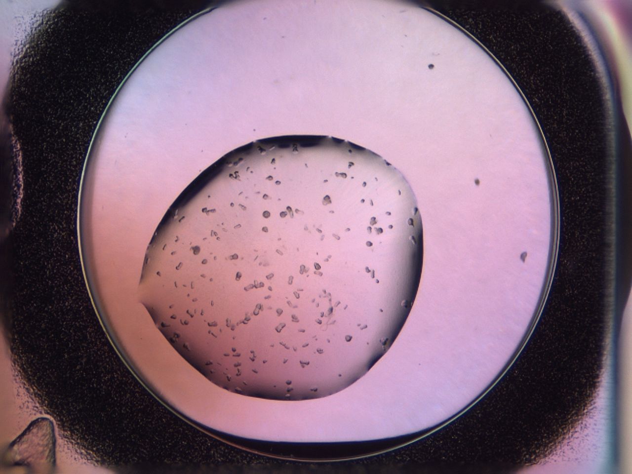 02pm_D11_ImagerDefaults_9.jpg