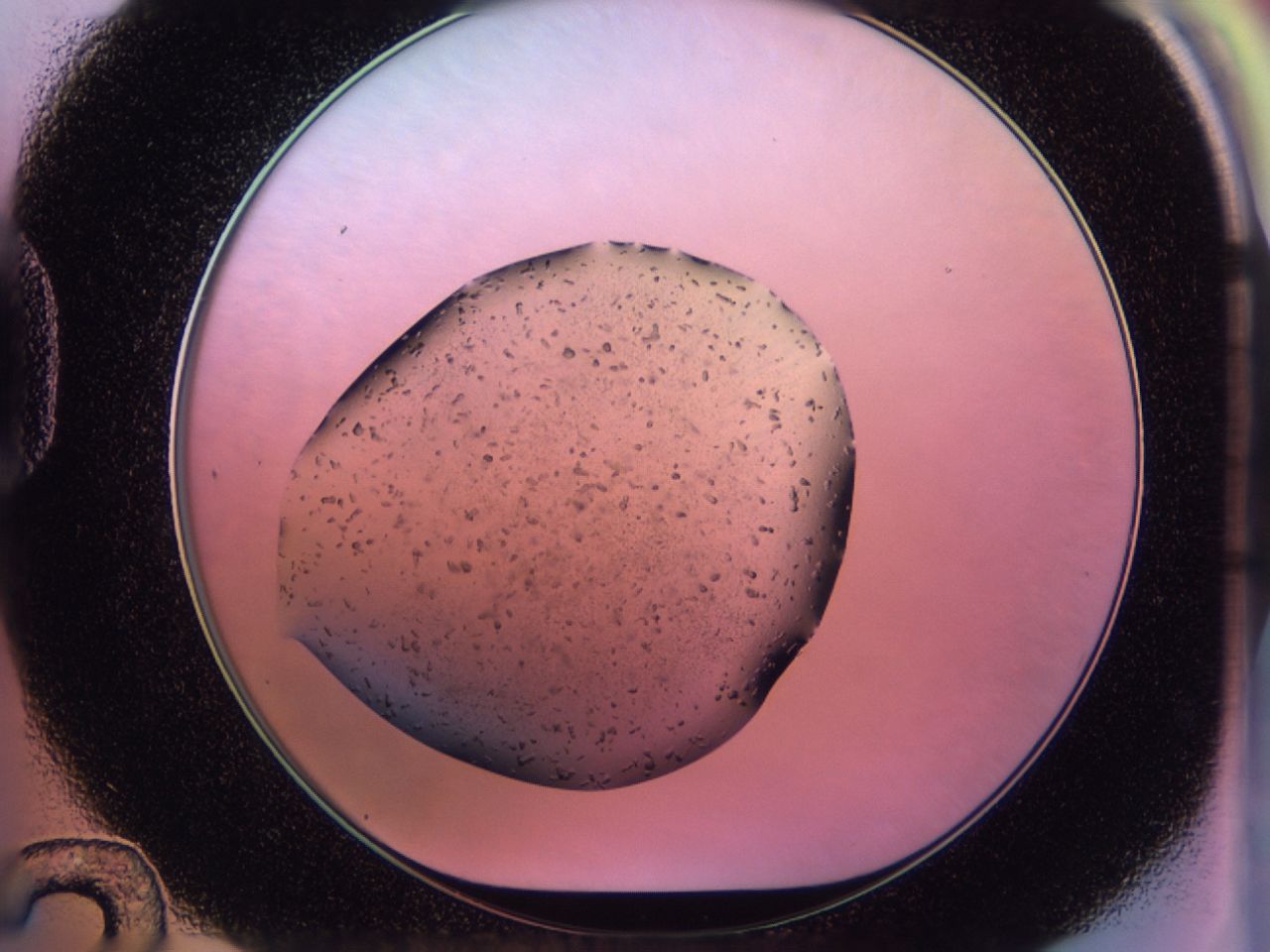02pm_D12_ImagerDefaults_7.jpg