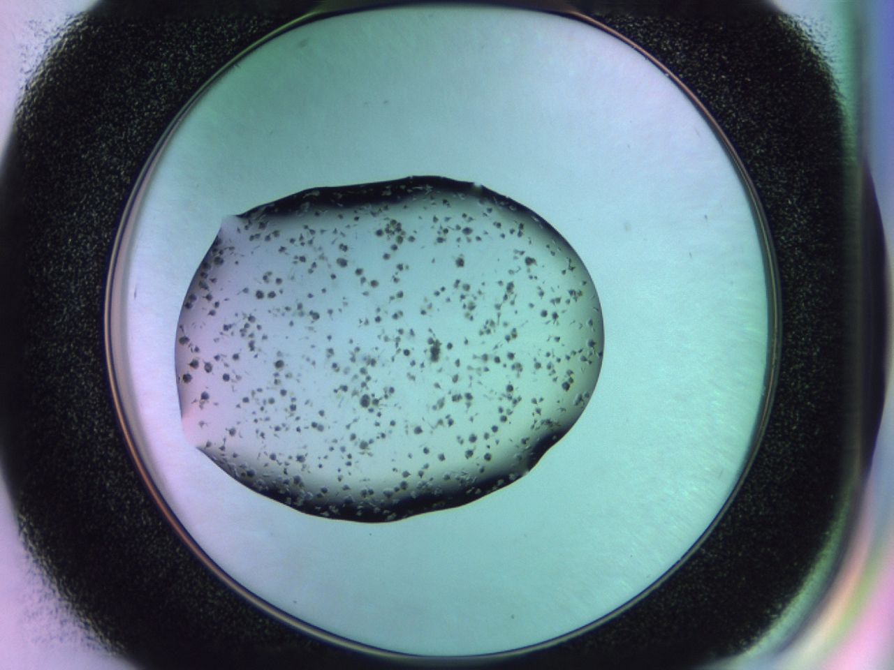 02pm_D7_ImagerDefaults_6.jpg
