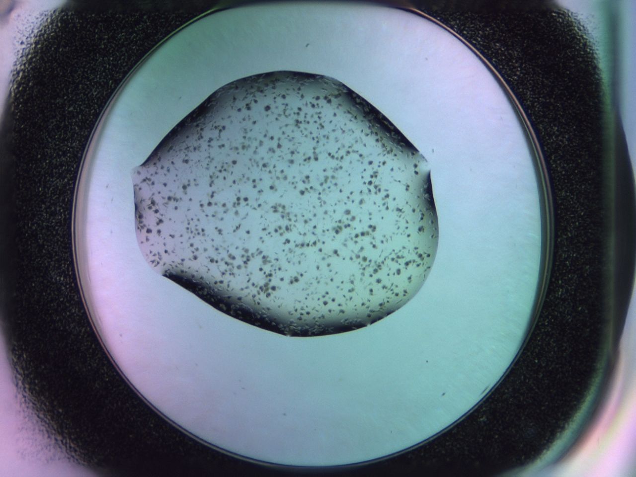 02pm_D8_ImagerDefaults_6.jpg