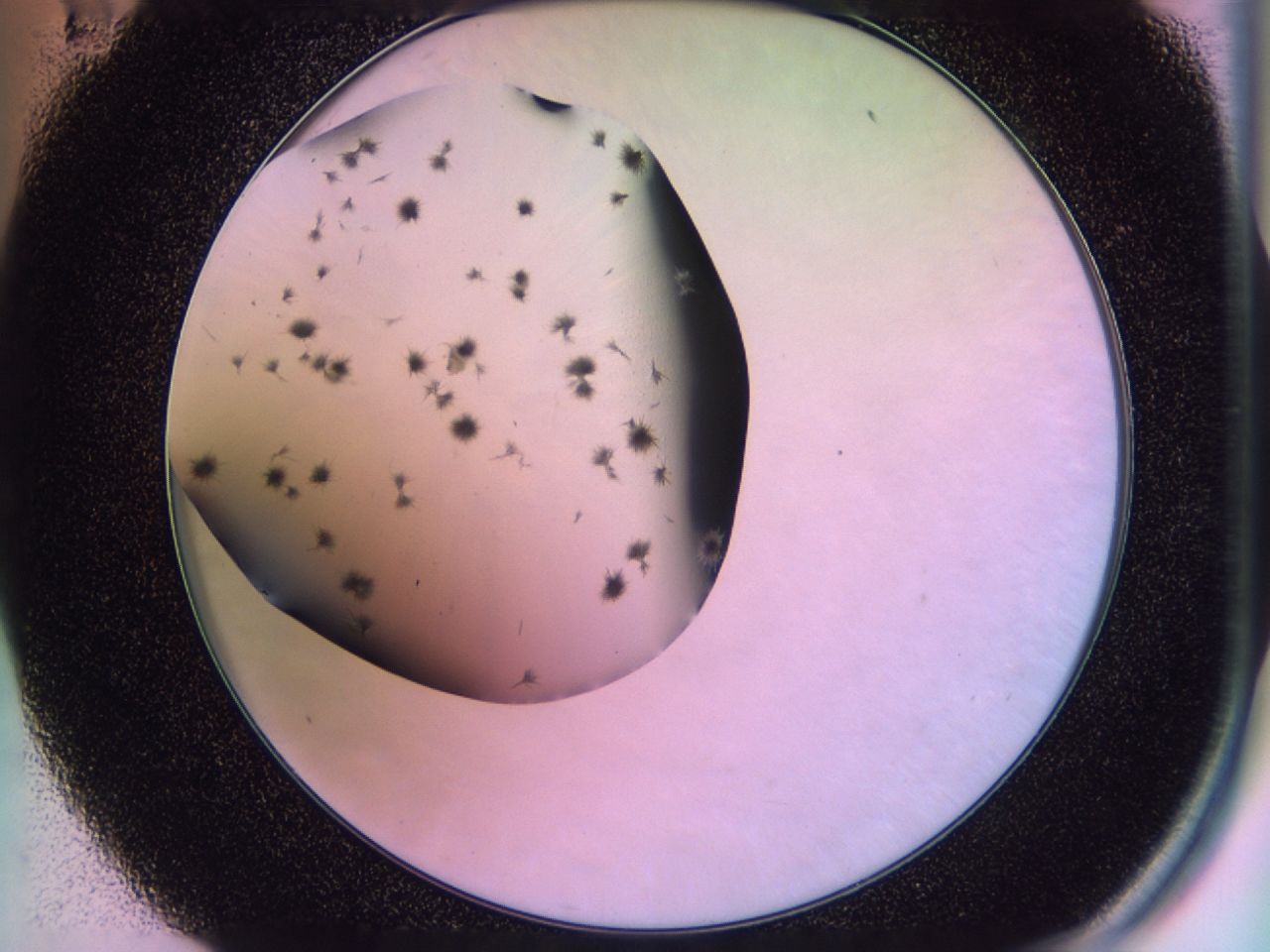 02pm_E11_ImagerDefaults_7.jpg