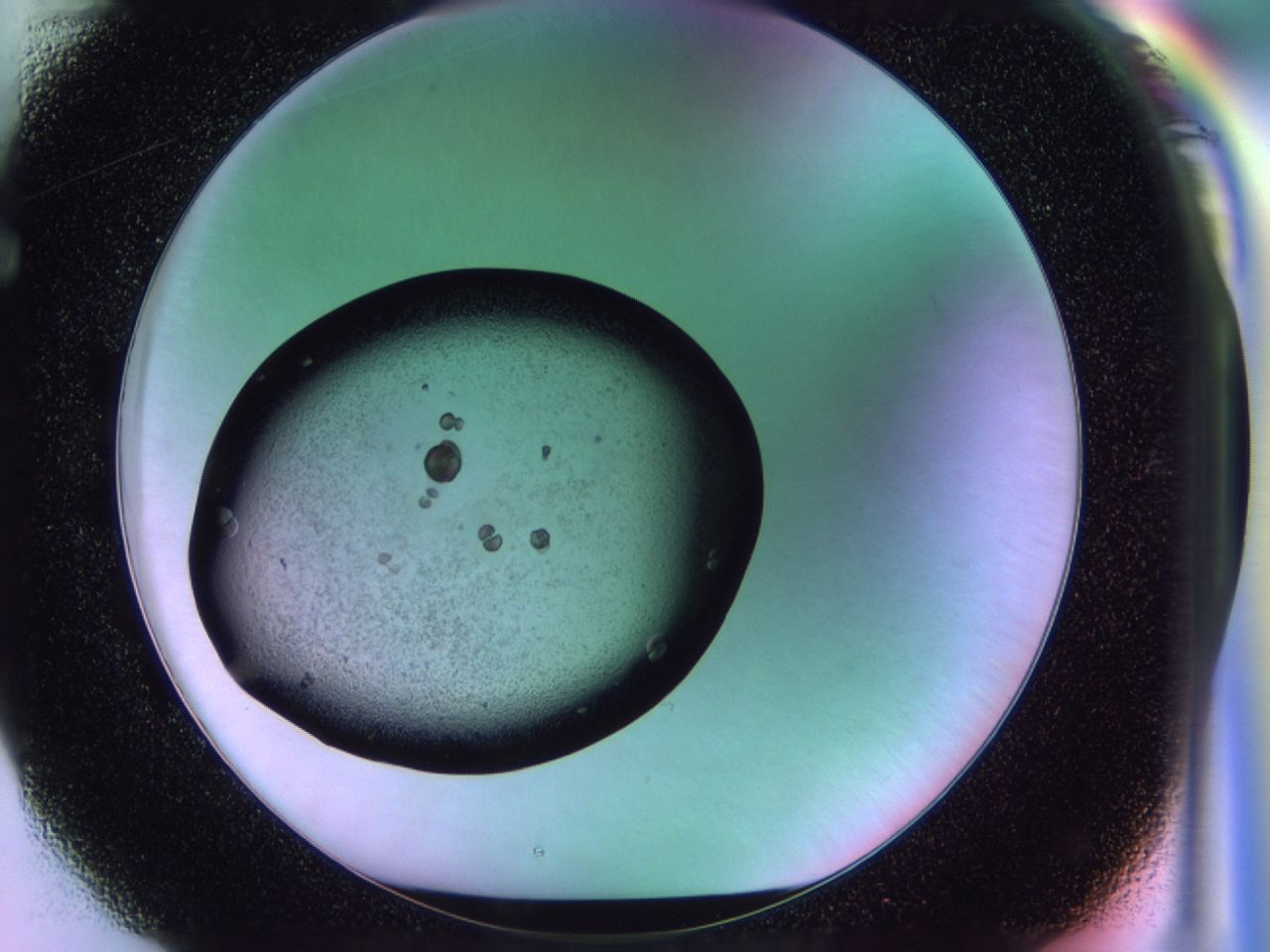 02pn_F1_ImagerDefaults_6.jpg