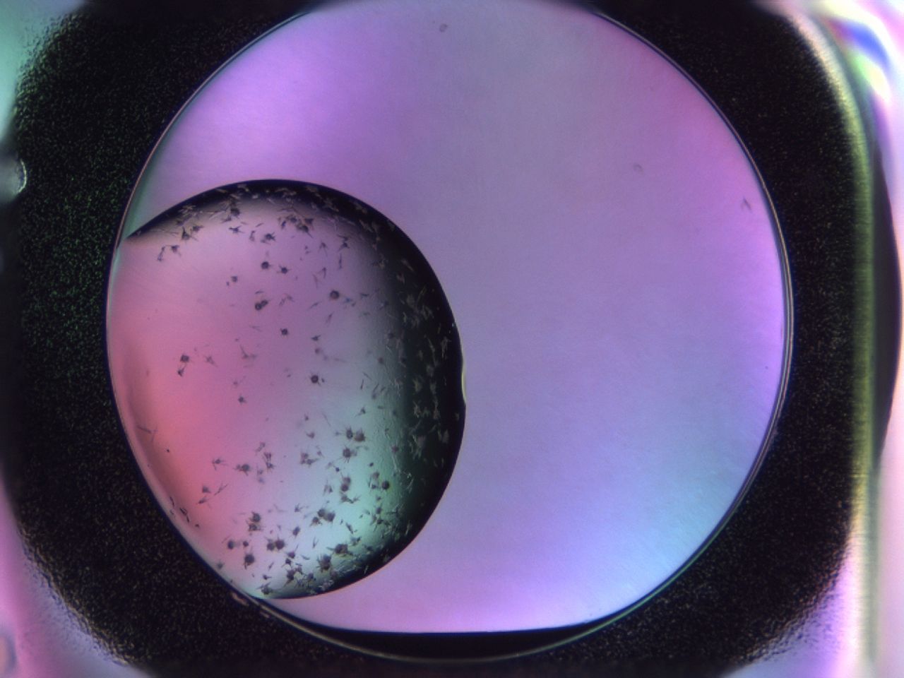 02pn_F8_ImagerDefaults_7.jpg