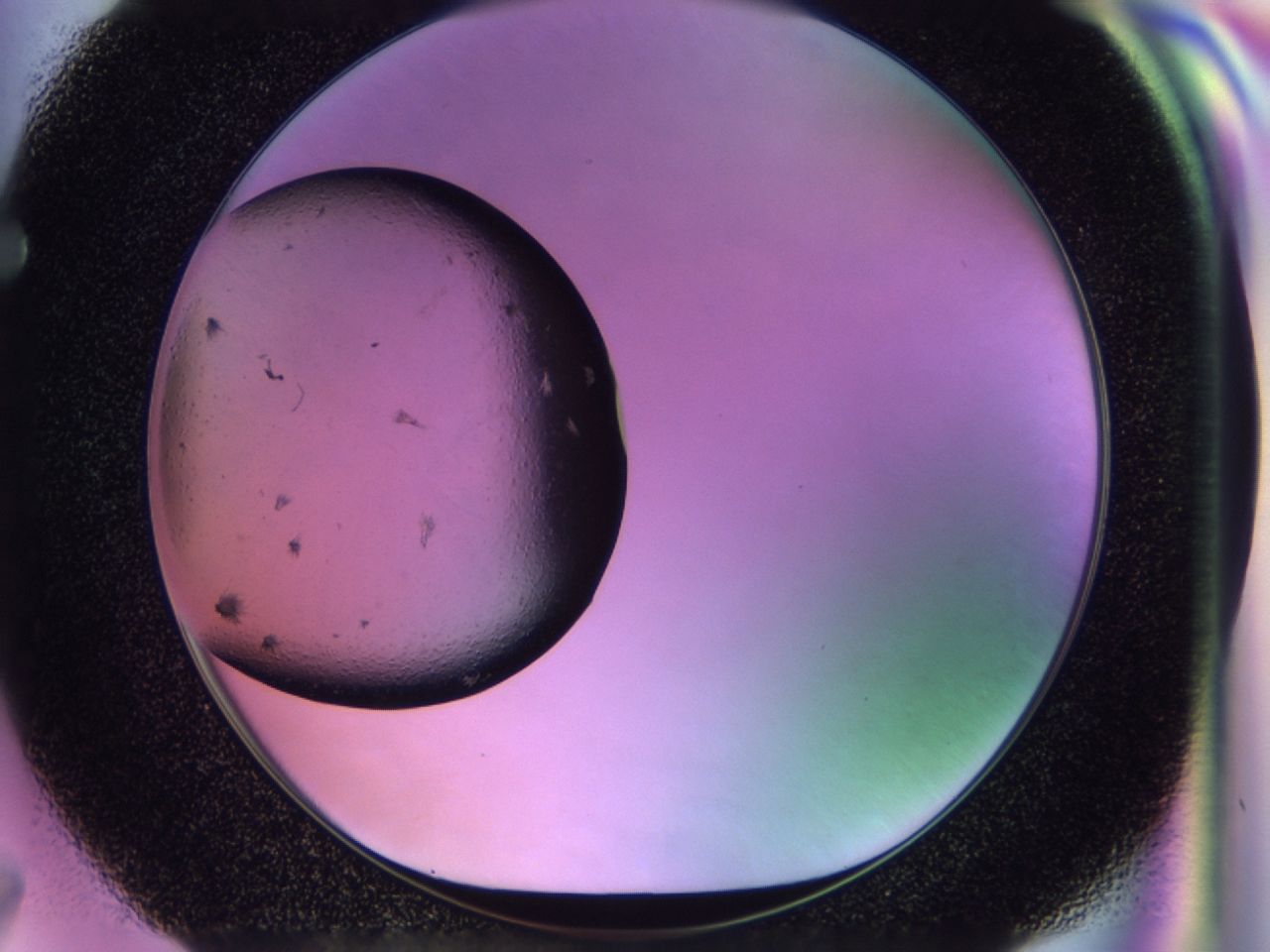 02pn_F7_ImagerDefaults_7.jpg