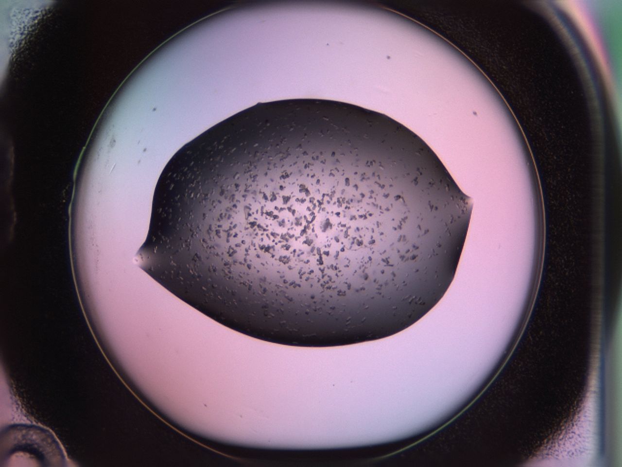 02po_B10_ImagerDefaults_6.jpg