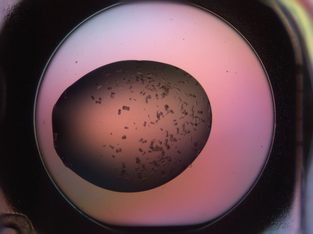 02po_D12_ImagerDefaults_9.jpg