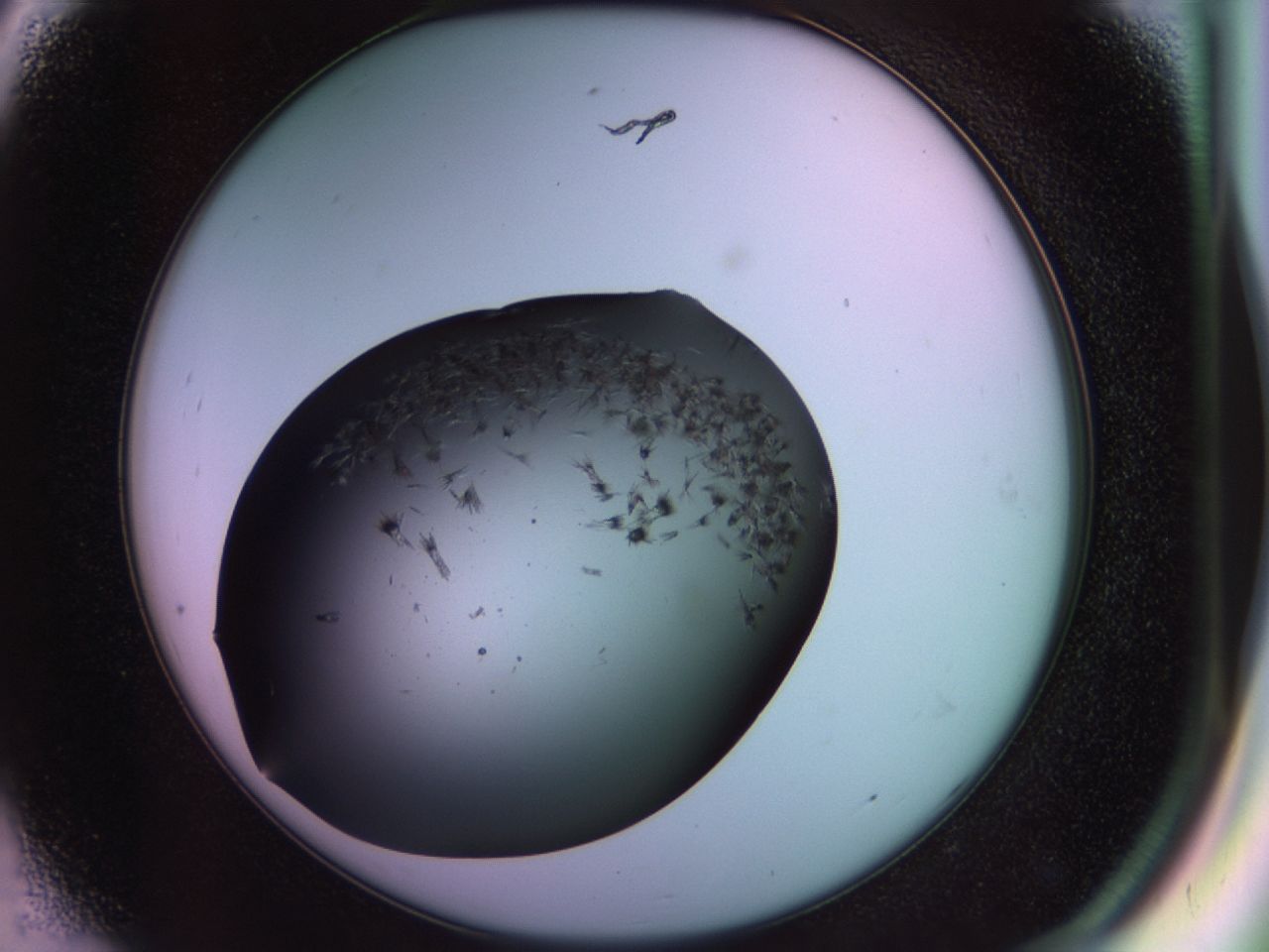 02po_D8_ImagerDefaults_9.jpg