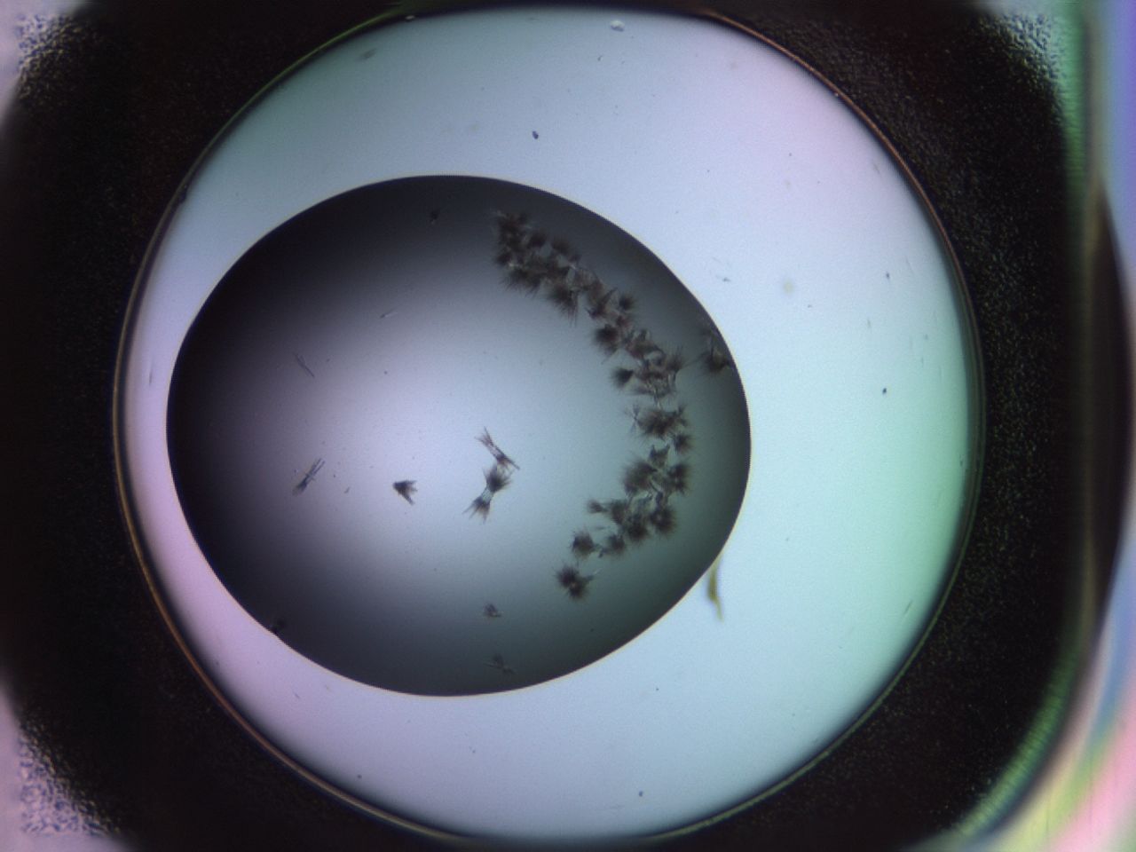 02po_D7_ImagerDefaults_9.jpg