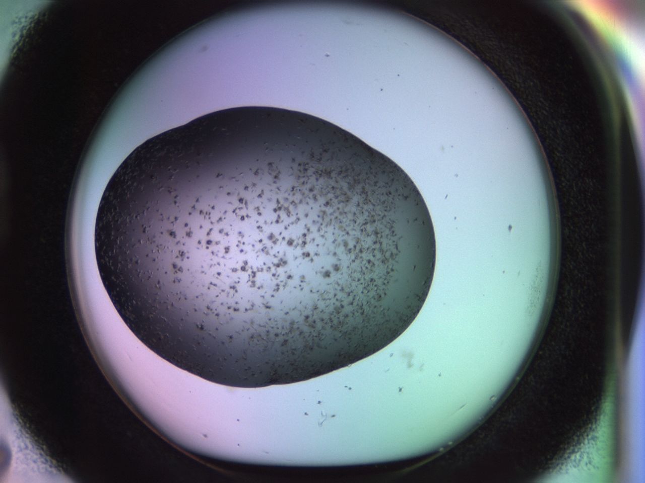 02po_D7_ImagerDefaults_6.jpg