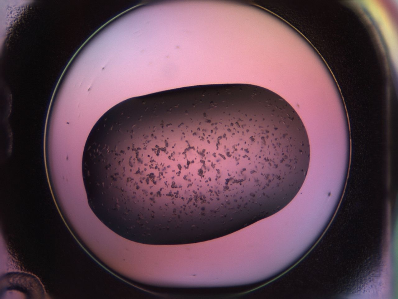 02po_B12_ImagerDefaults_6.jpg