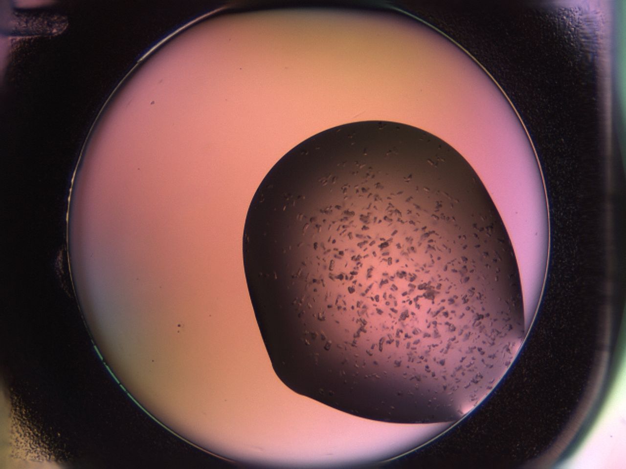 02po_B12_ImagerDefaults_9.jpg