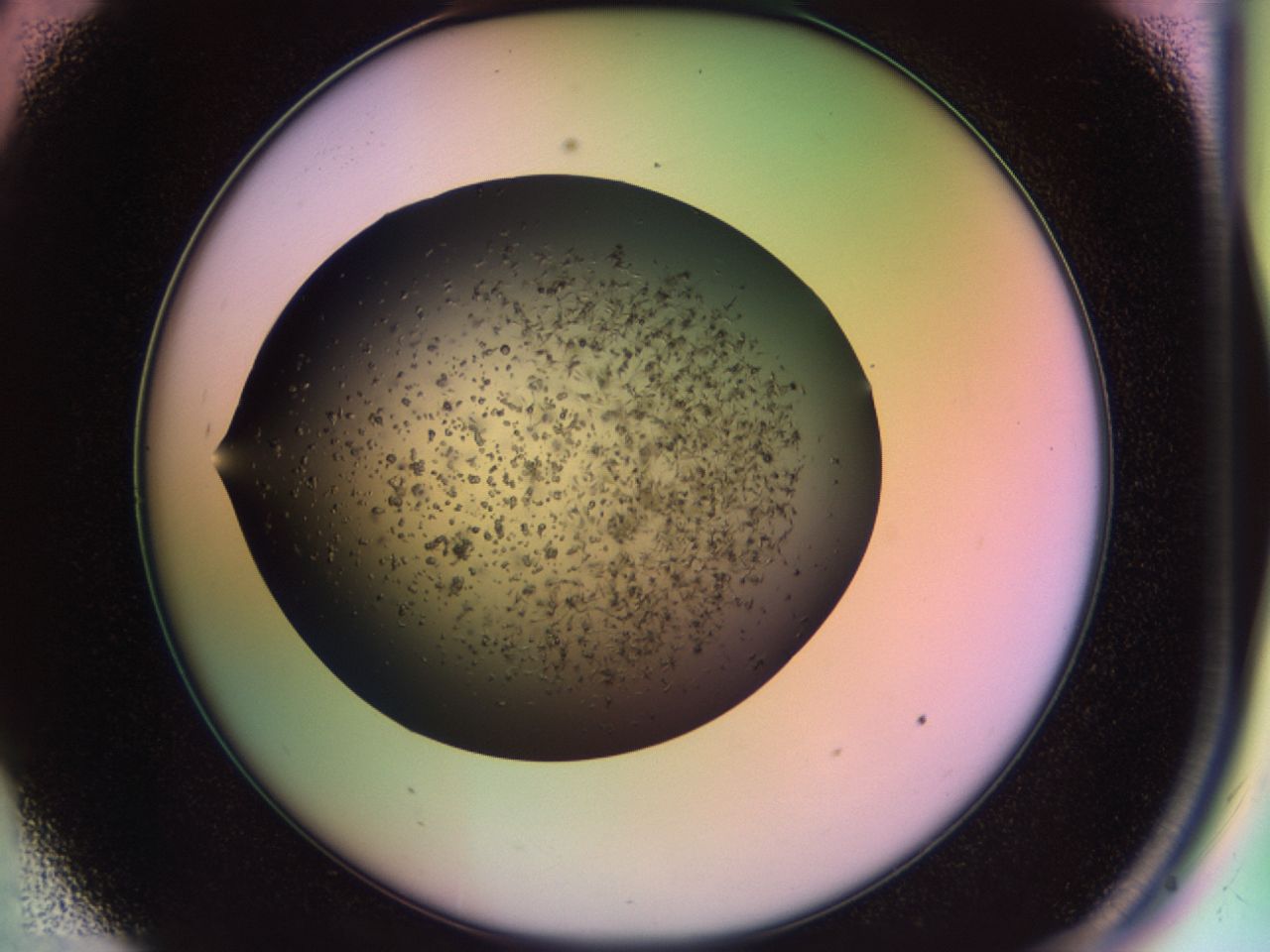 02po_C9_ImagerDefaults_6.jpg