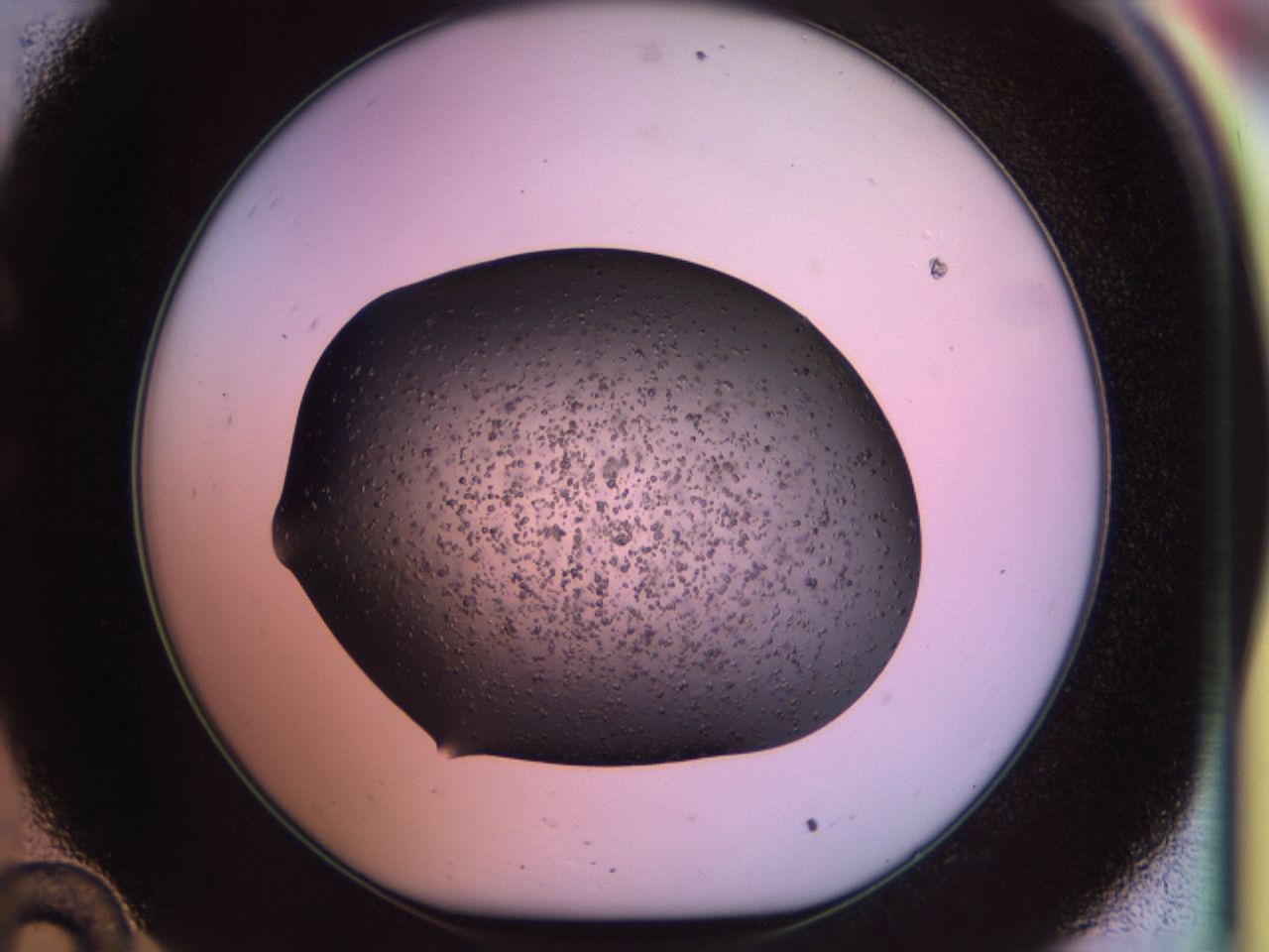 02po_C10_ImagerDefaults_6.jpg