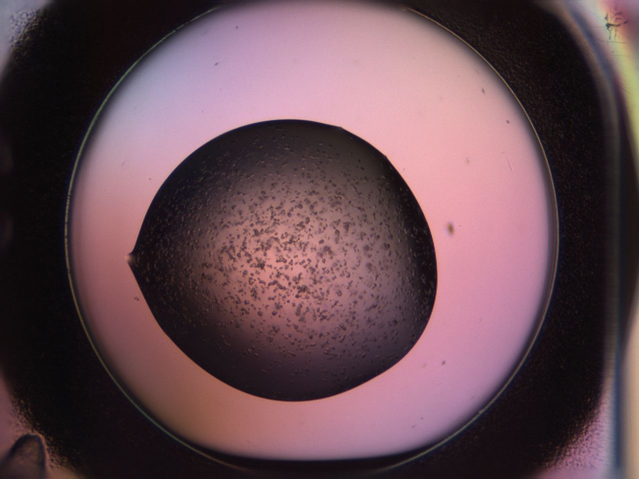 02po_C11_ImagerDefaults_6.jpg
