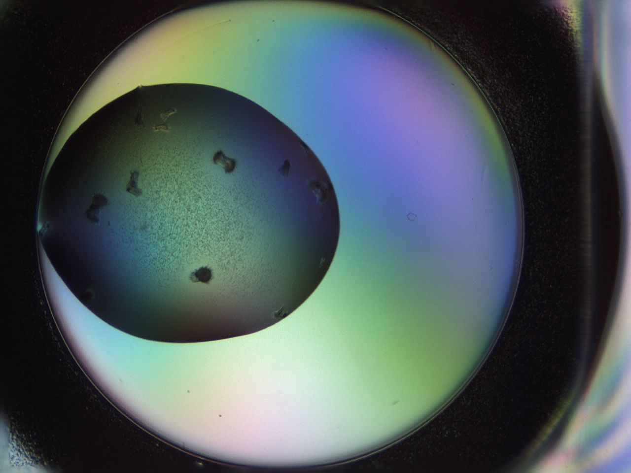 02po_H4_ImagerDefaults_9.jpg