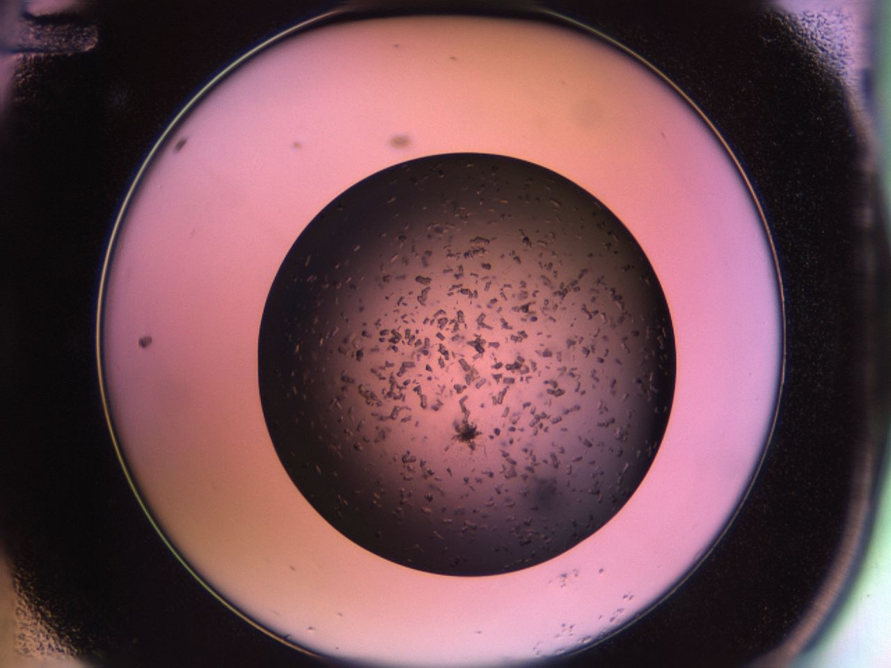 02po_A12_ImagerDefaults_9.jpg