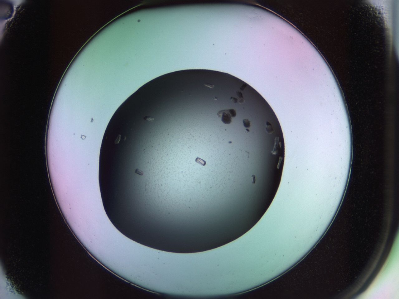 02po_A2_ImagerDefaults_9.jpg