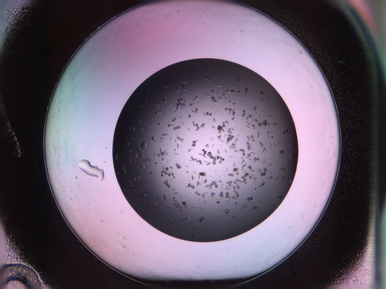 02pp_A10_ImagerDefaults_7.jpg