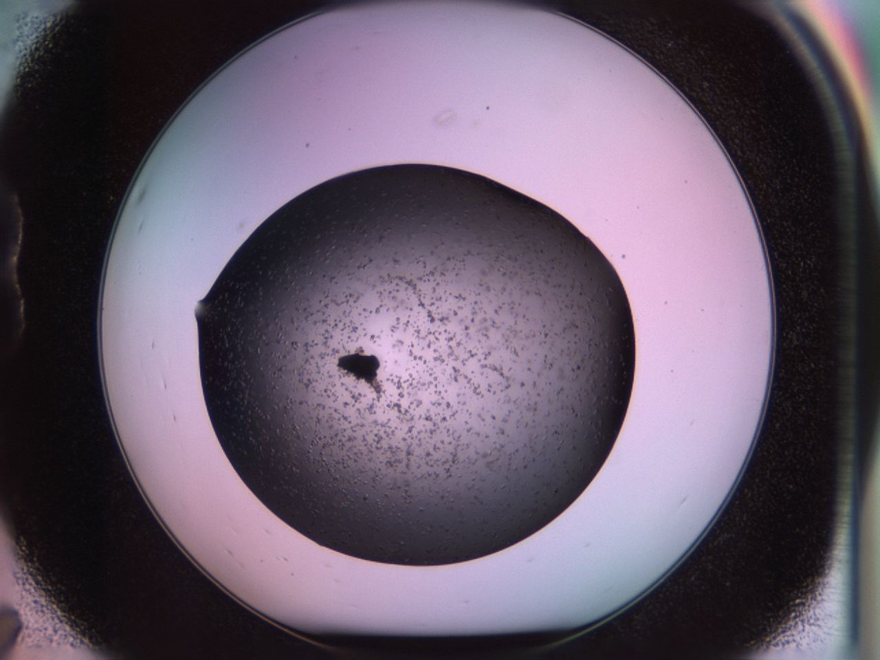 02pp_B7_ImagerDefaults_6.jpg