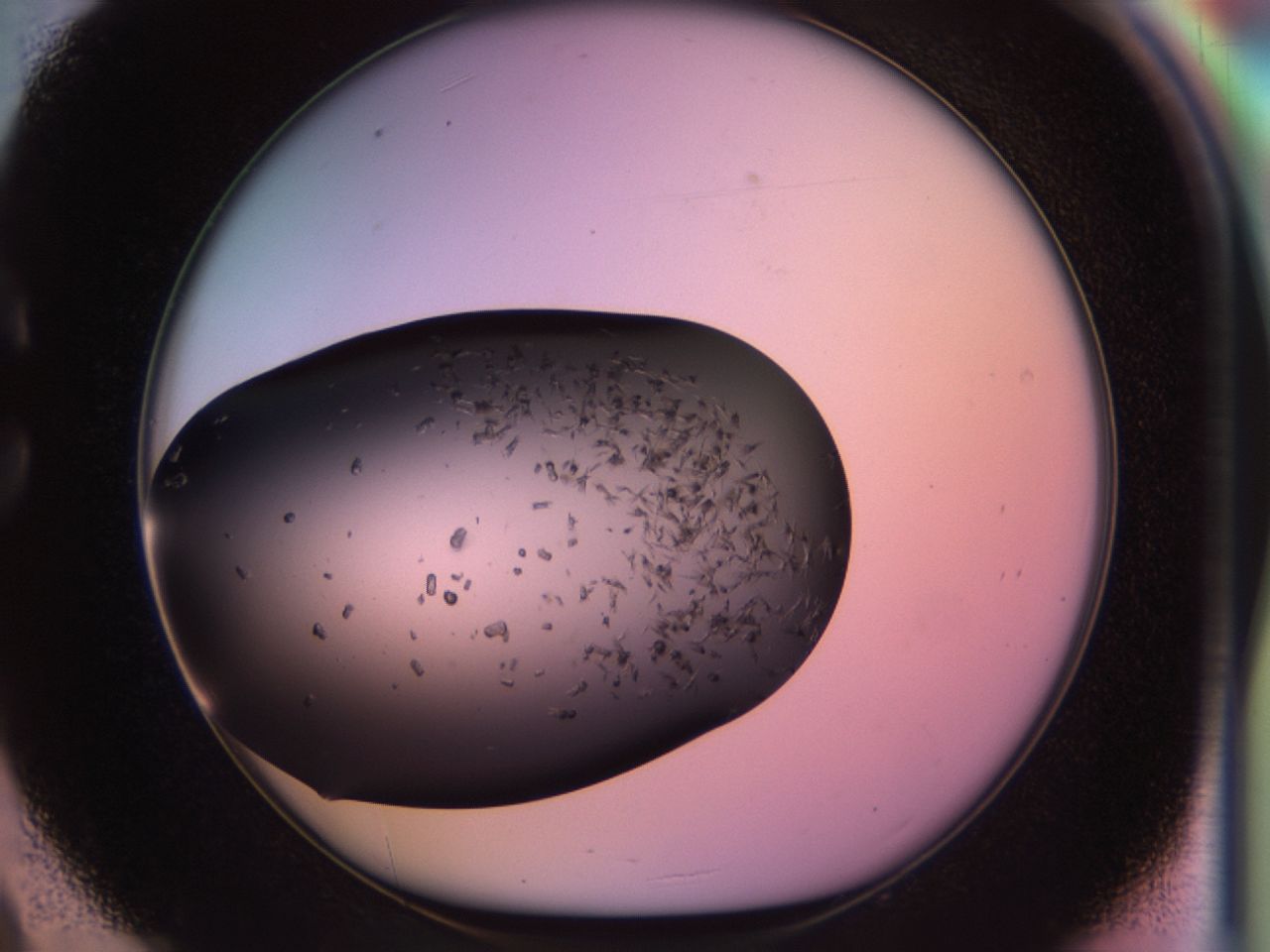 02pp_C9_ImagerDefaults_9.jpg
