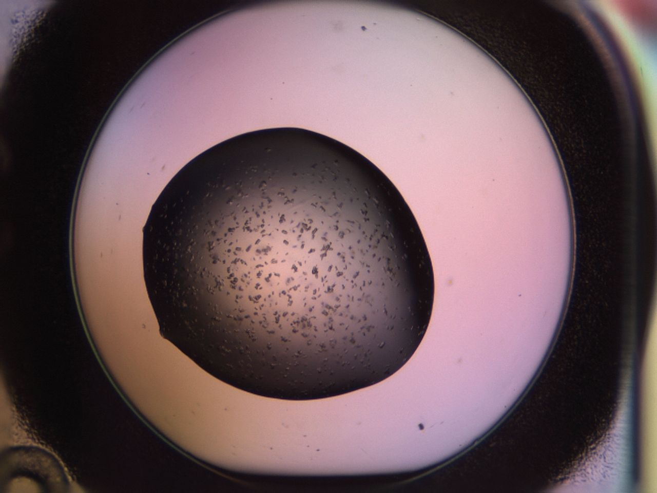 02pp_C10_ImagerDefaults_6.jpg