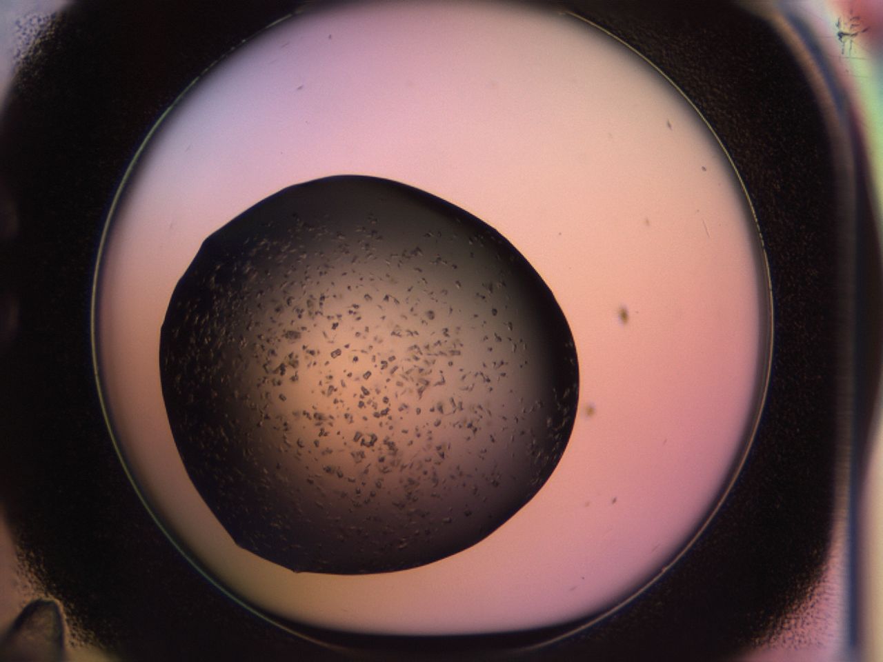 02pp_C11_ImagerDefaults_9.jpg
