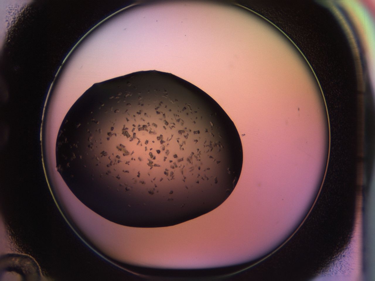 02pp_C12_ImagerDefaults_9.jpg