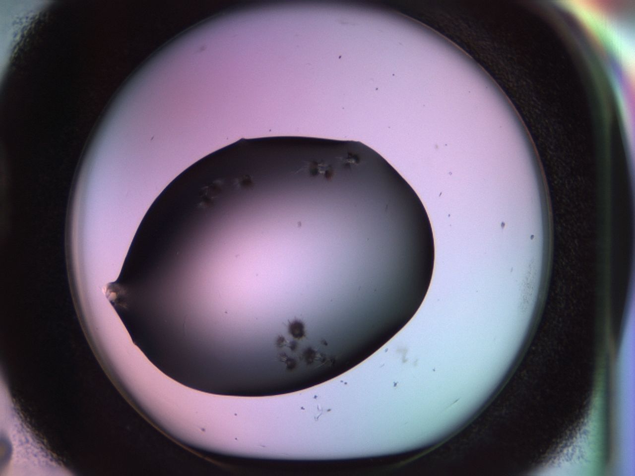 02pp_D7_ImagerDefaults_9.jpg