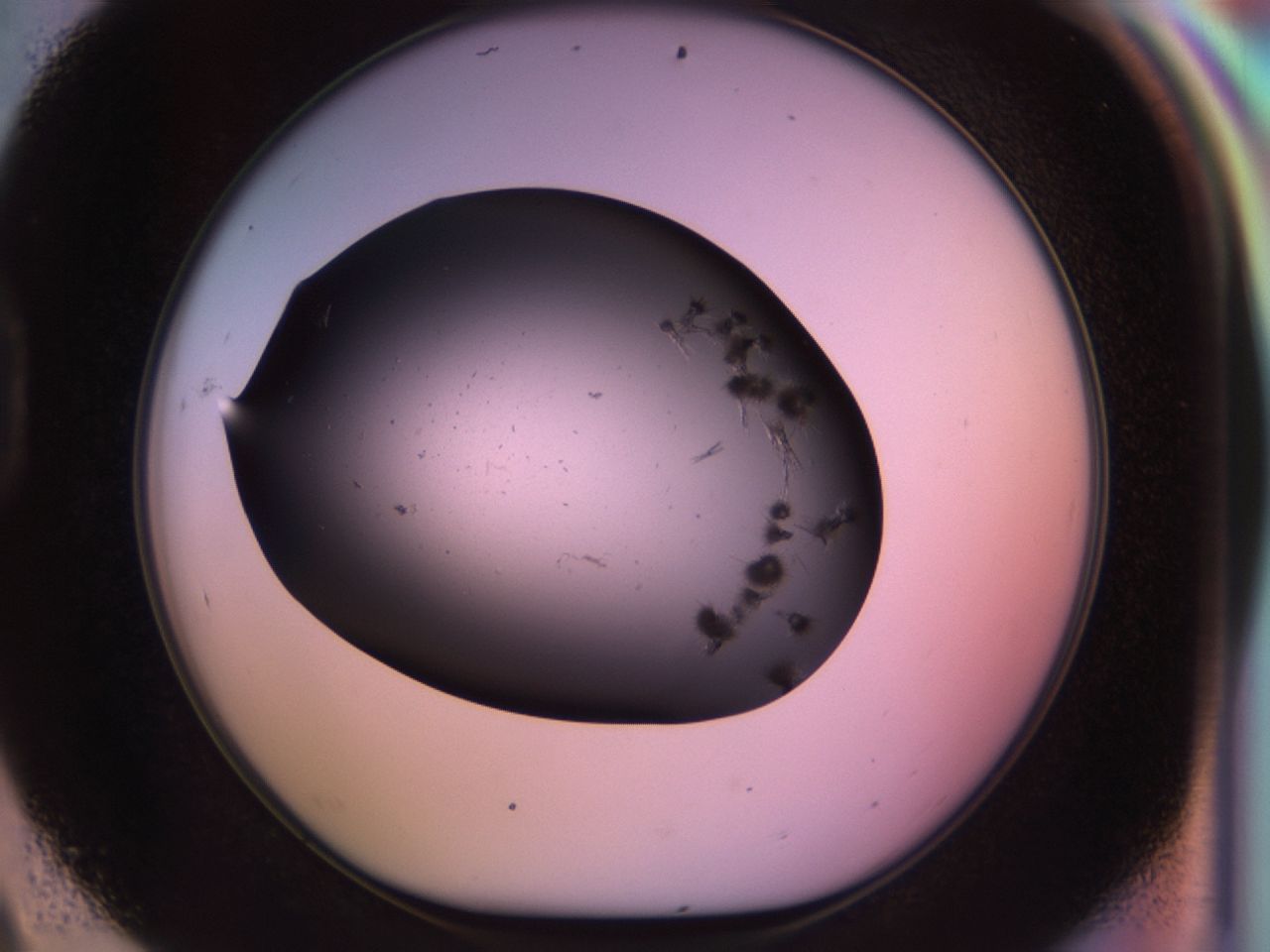 02pp_D9_ImagerDefaults_9.jpg