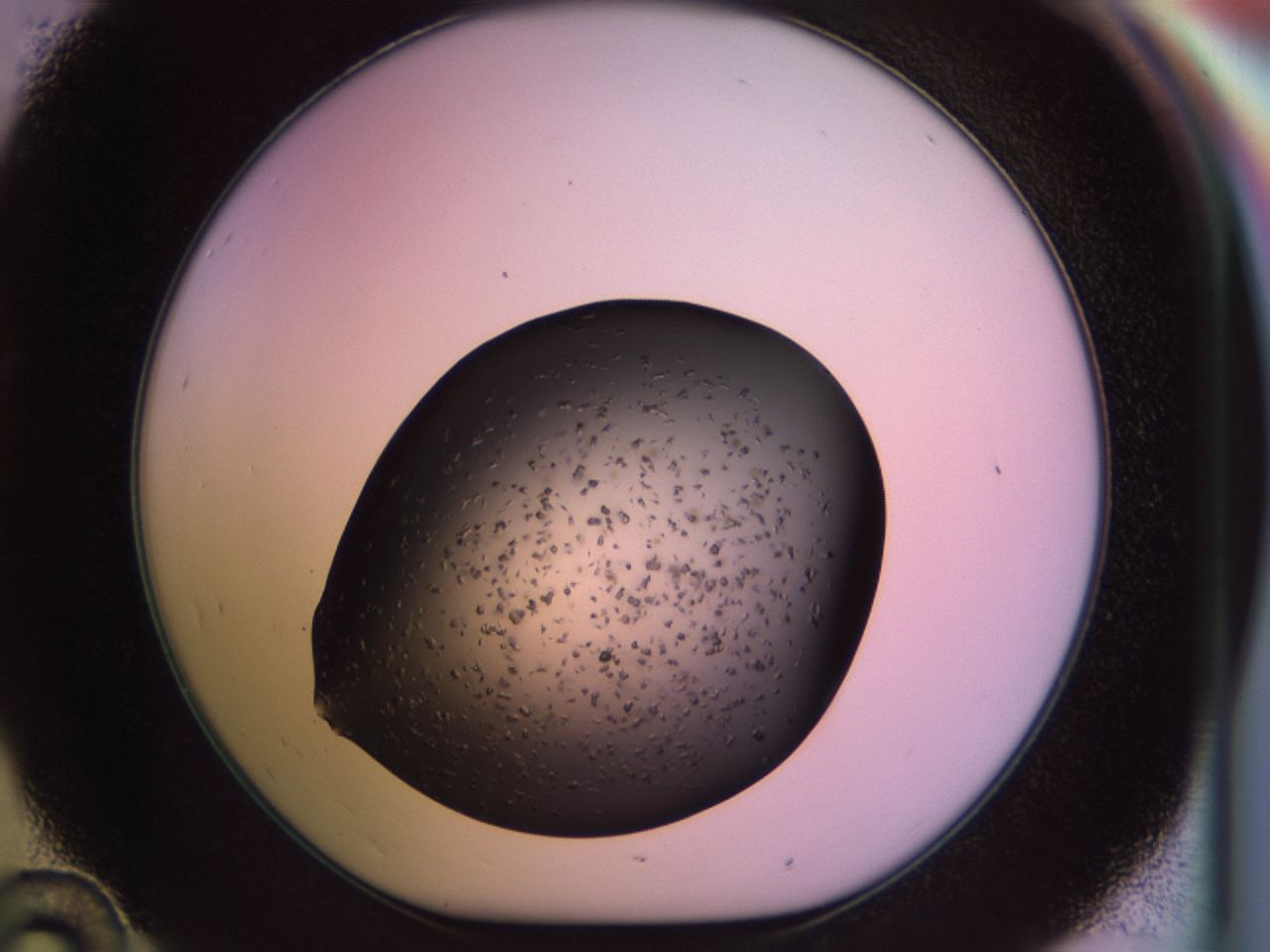 02pp_D10_ImagerDefaults_6.jpg