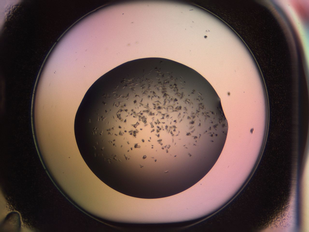 02pp_D11_ImagerDefaults_9.jpg