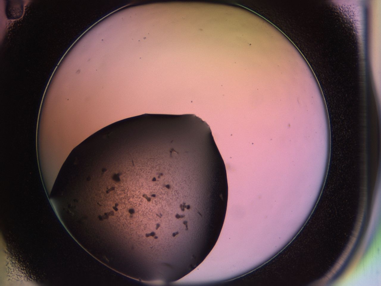 02pq_C11_ImagerDefaults_9.jpg