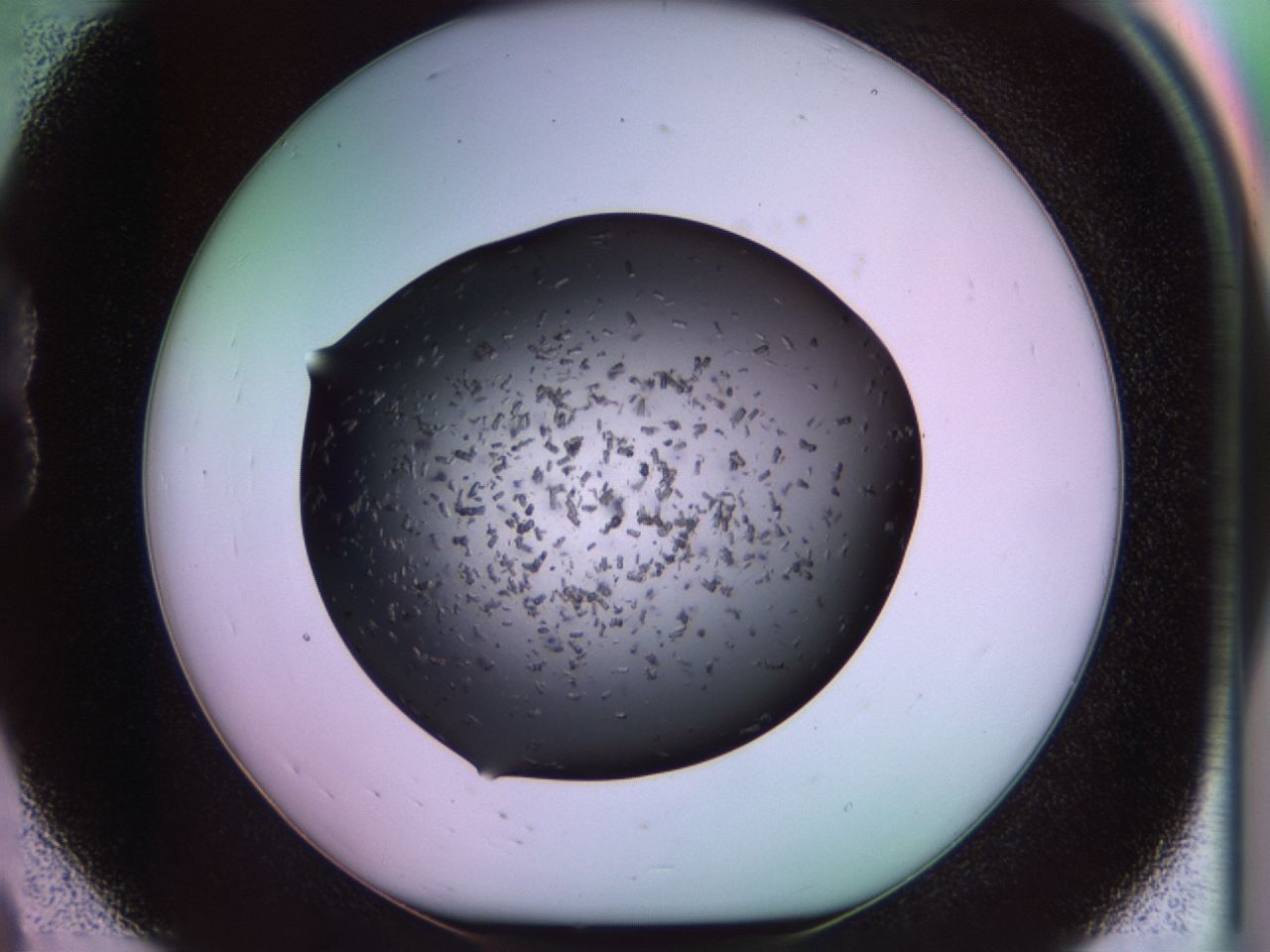 02pq_B8_ImagerDefaults_9.jpg