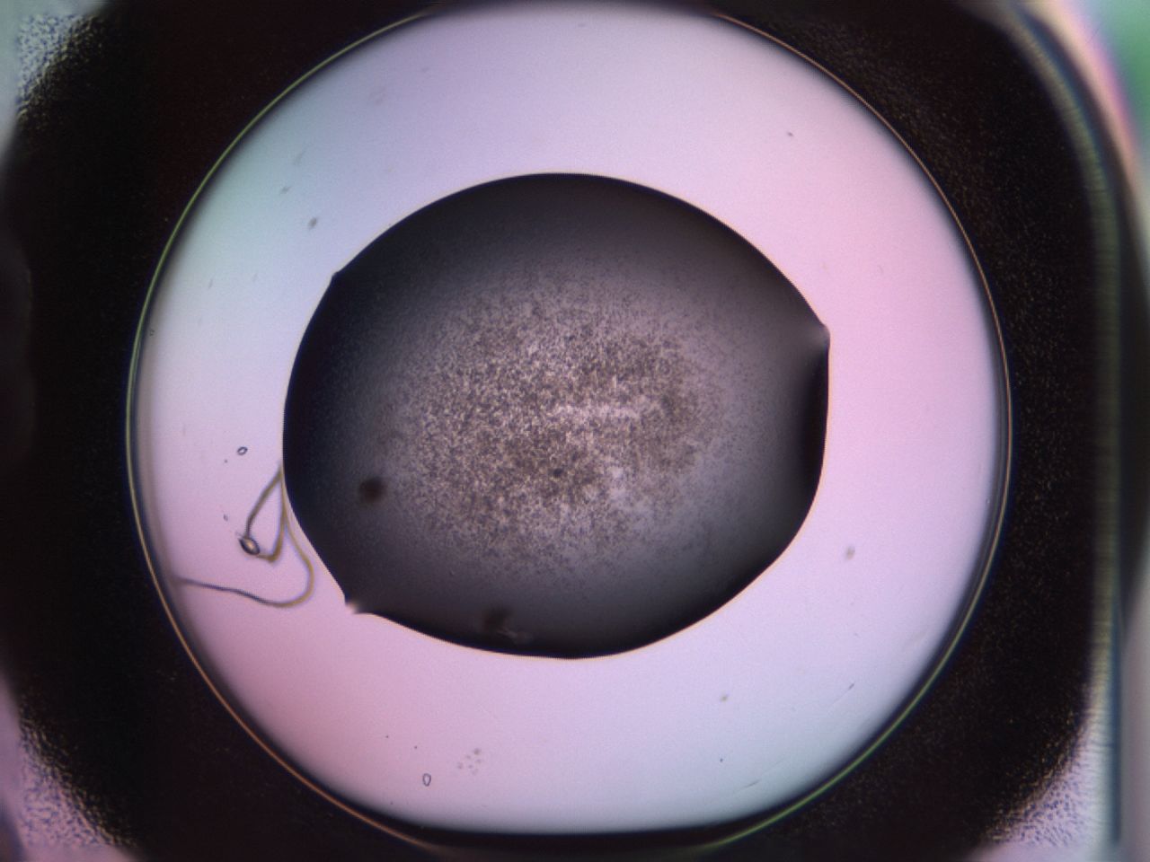 02pq_B9_ImagerDefaults_7.jpg