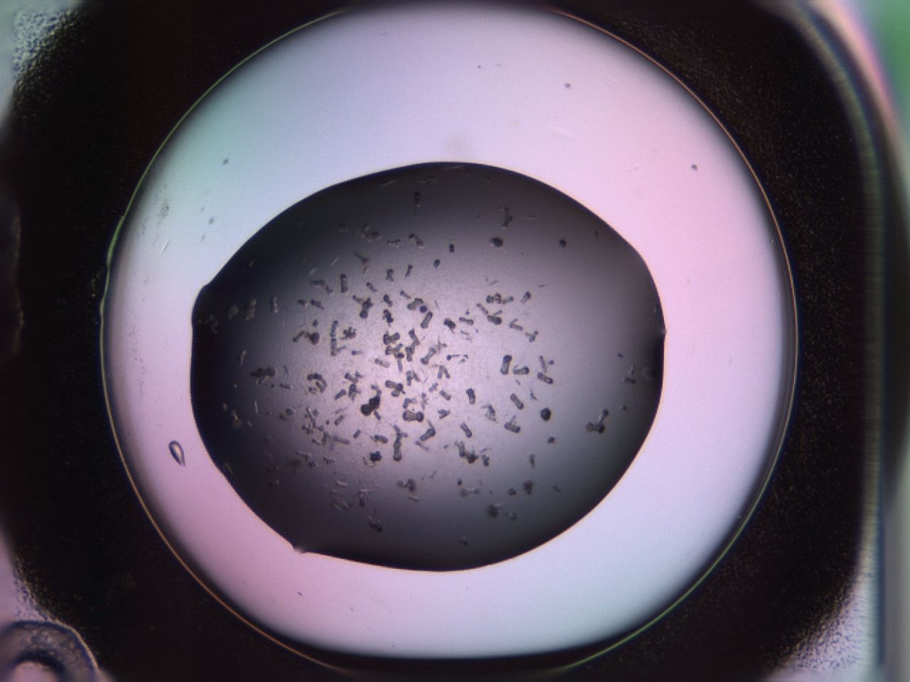 02pq_B10_ImagerDefaults_9.jpg