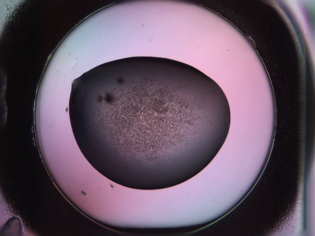 02pq_B11_ImagerDefaults_7.jpg