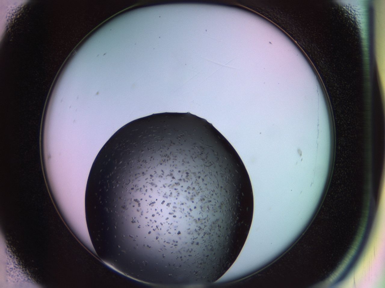 02pq_C7_ImagerDefaults_7.jpg