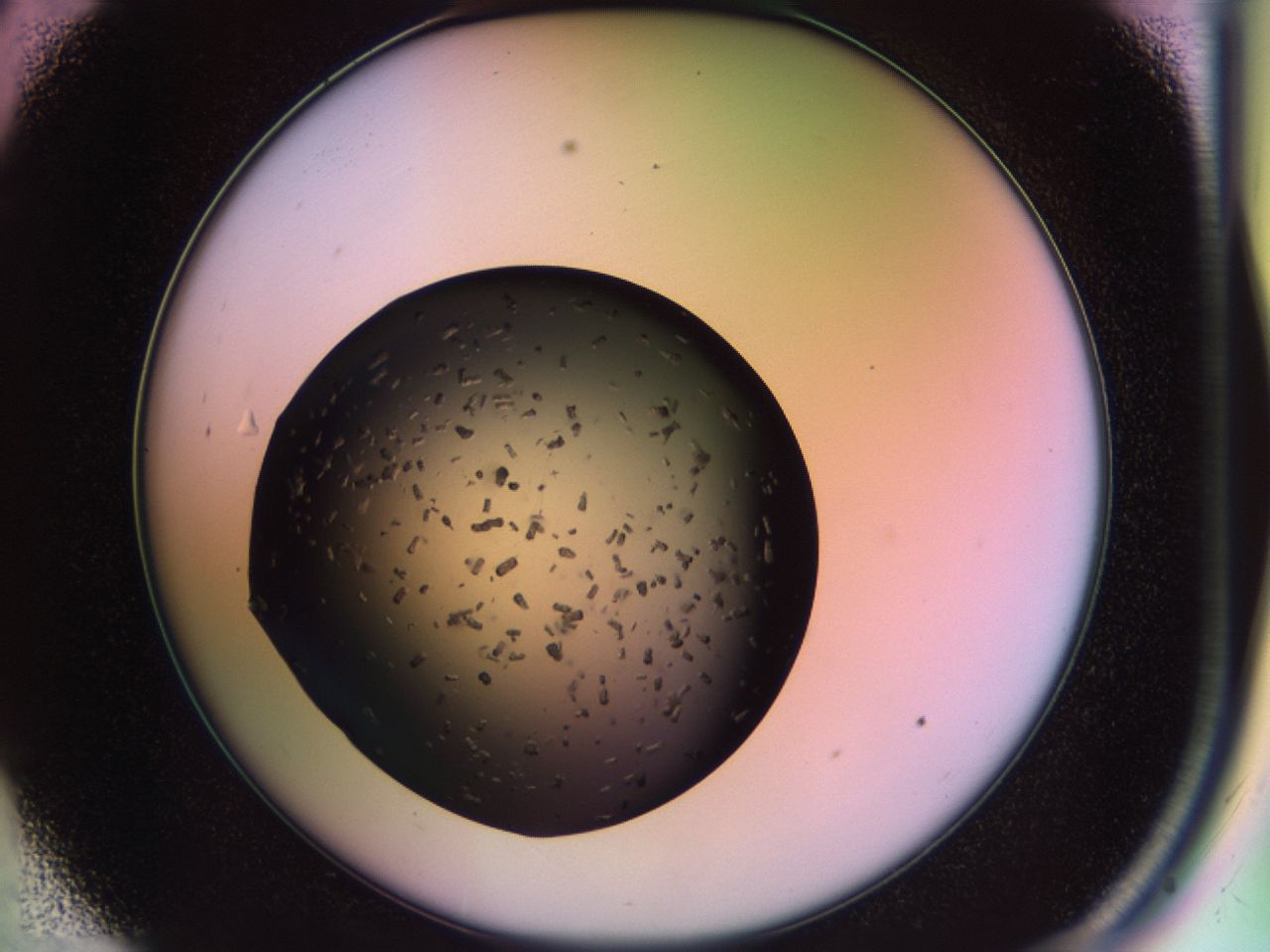 02pq_C9_ImagerDefaults_9.jpg