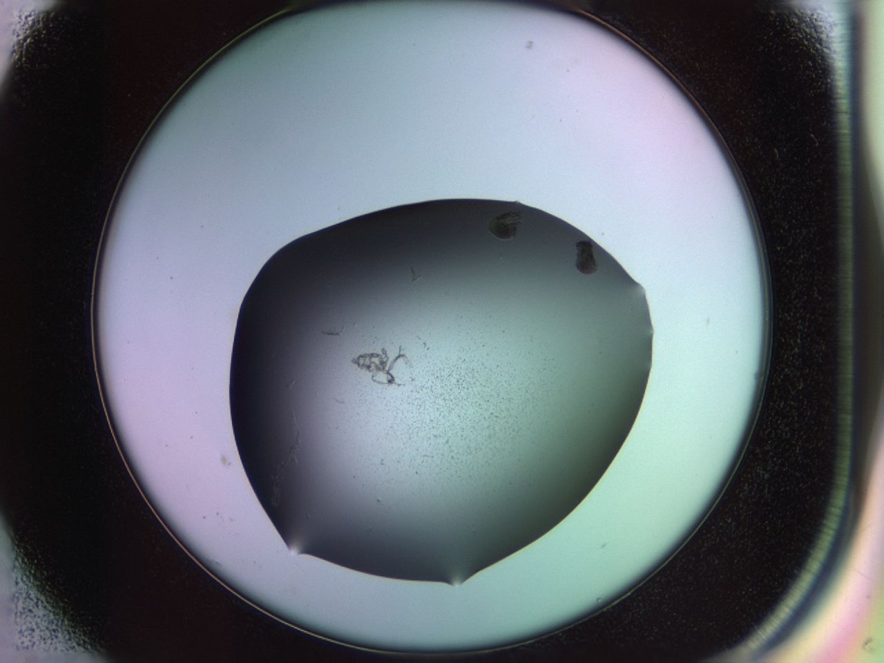 02pq_B1_ImagerDefaults_9.jpg